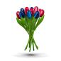 Preview: Wooden tulip bouquet, 11 wooden tulips, blue/red mix, 34cm high, bouquet, wooden flowers, Made in Holland